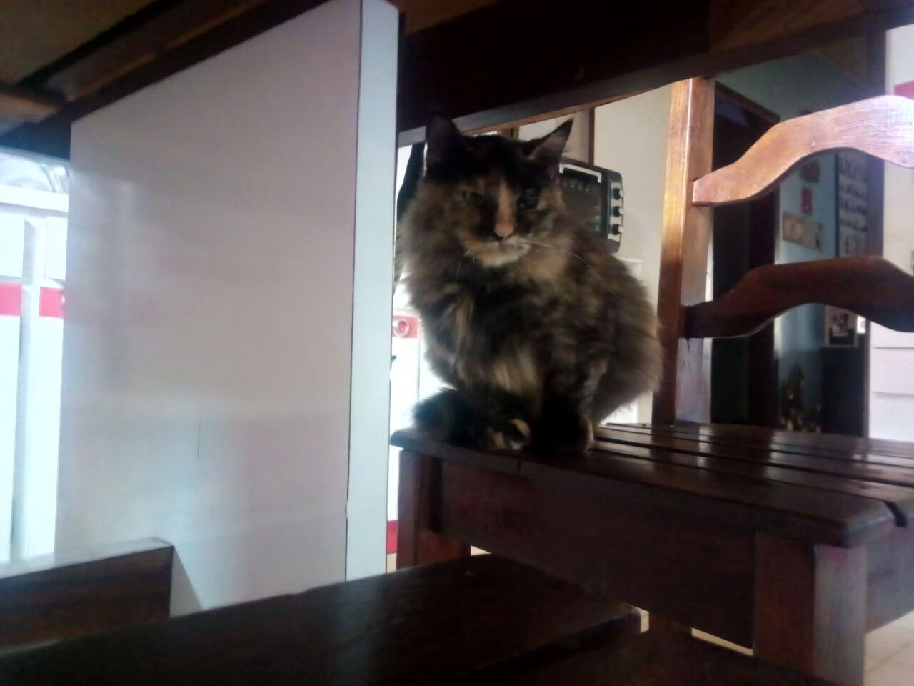 华体会登录-当阿劳霍成为物理法则，瑞士如何用一场精密如钟表般的胜利，将冰岛封装在绝望中