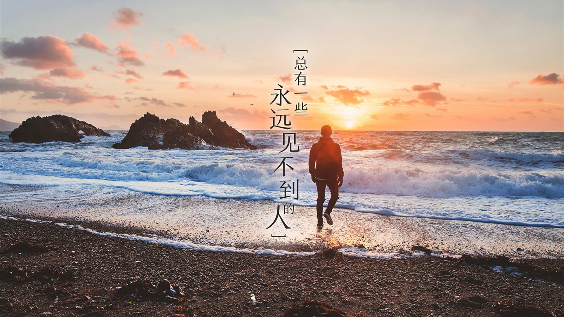 华体会登陆-枫叶红透蒙得维的亚，2026世界杯E组关键战，加维引领加拿大进攻风暴完胜乌拉圭